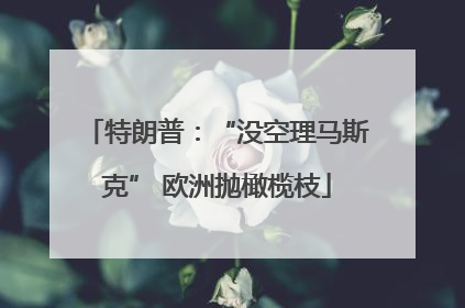 特朗普：“没空理马斯克” 欧洲抛橄榄枝