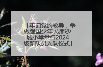 牢记党的教导，争做强国少年 成都少城小学举行2024级新队员入队仪式