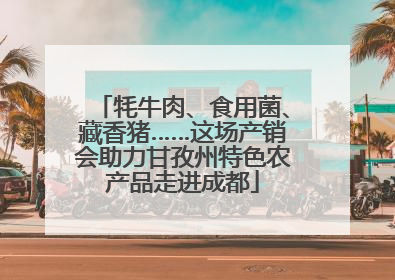 牦牛肉、食用菌、藏香猪……这场产销会助力甘孜州特色农产品走进成都