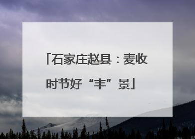 石家庄赵县：麦收时节好“丰”景