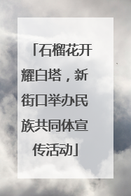 石榴花开耀白塔，新街口举办民族共同体宣传活动