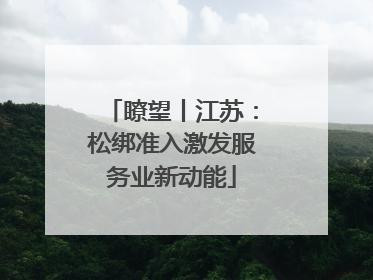 瞭望丨江苏：松绑准入激发服务业新动能