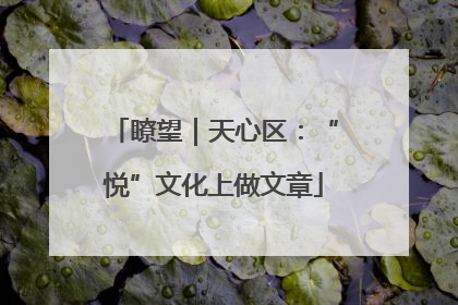 瞭望｜天心区：“悦”文化上做文章