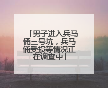 男子进入兵马俑三号坑，兵马俑受损等情况正在调查中