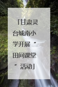 甘肃灵台城南小学开展“田间课堂”活动