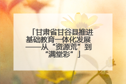 甘肃省甘谷县推进基础教育一体化发展——从“资源荒”到“满堂彩”