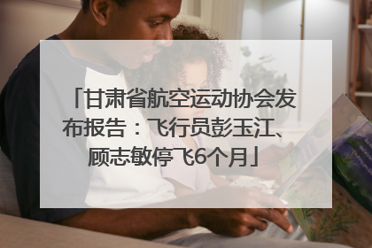 甘肃省航空运动协会发布报告：飞行员彭玉江、顾志敏停飞6个月