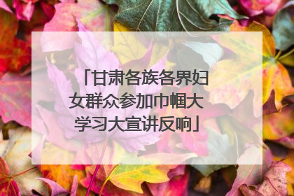 甘肃各族各界妇女群众参加巾帼大学习大宣讲反响