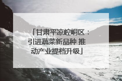 甘肃平凉崆峒区：引进蔬菜新品种 推动产业提档升级
