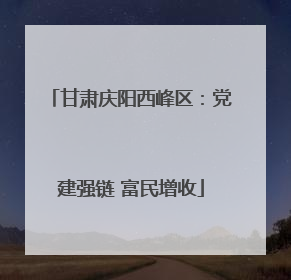 甘肃庆阳西峰区：党建强链 富民增收