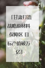 甘肃打造战略原材料保障区 目标产值破万亿