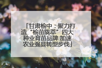 甘肃榆中：聚力打造“榆苗陇萃”四大种业育苗品牌 加速农业强县转型步伐
