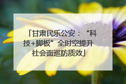 甘肃民乐公安：“科技+脚板”全时空提升社会面巡防质效