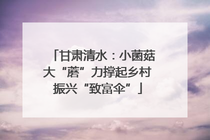 甘肃清水：小菌菇大“蘑”力撑起乡村振兴“致富伞”