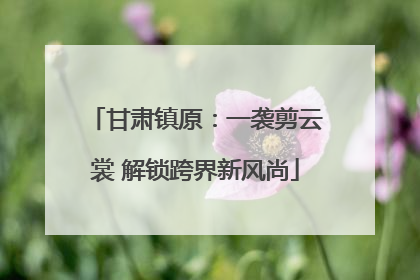 甘肃镇原：一袭剪云裳 解锁跨界新风尚