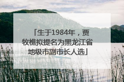生于1984年，贾牧樵拟提名为黑龙江省地级市副市长人选