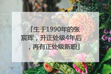 生于1990年的张宸珲，升正处级4年后，再有正处级新职