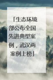 生态环境部公布全国先进典型案例，武汉两案例上榜