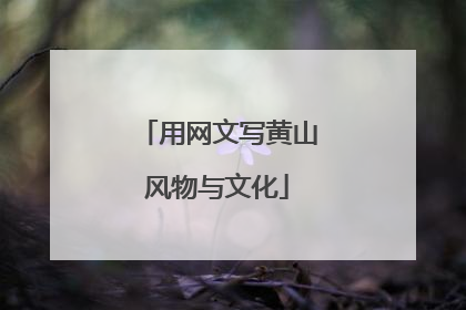 用网文写黄山风物与文化