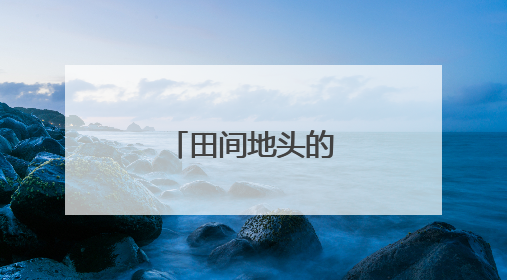 田间地头的“芯”动能