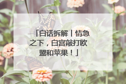 白话拆解丨情急之下，白宫敲打欧盟和苹果！