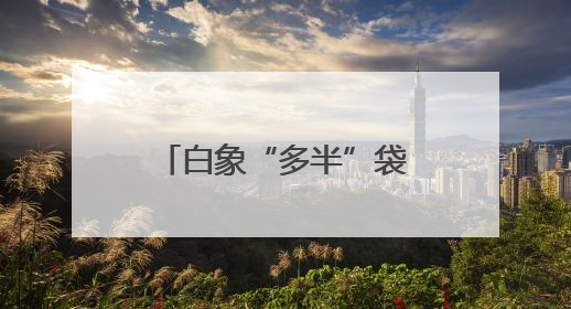 白象“多半”袋面上热搜！商标文字游戏何时休？