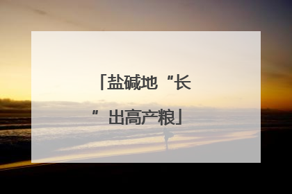 盐碱地“长”出高产粮