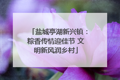 盐城亭湖新兴镇：粽香传情迎佳节 文明新风润乡村