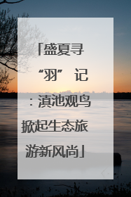 盛夏寻 “羽” 记：滇池观鸟掀起生态旅游新风尚