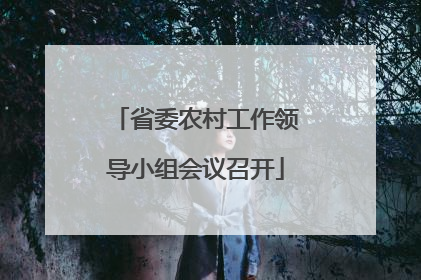 省委农村工作领导小组会议召开