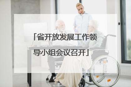 省开放发展工作领导小组会议召开