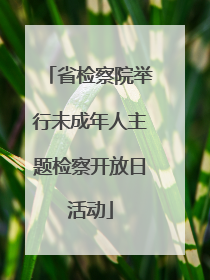 省检察院举行未成年人主题检察开放日活动