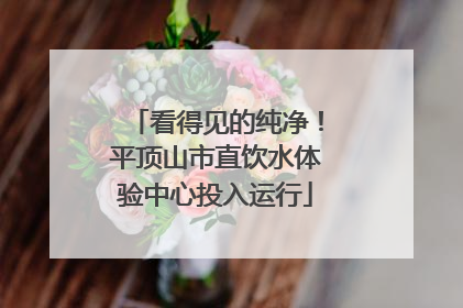 看得见的纯净！平顶山市直饮水体验中心投入运行
