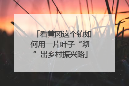 看黄冈这个镇如何用一片叶子“沏”出乡村振兴路