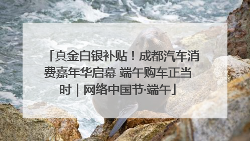 真金白银补贴！成都汽车消费嘉年华启幕 端午购车正当时｜网络中国节·端午