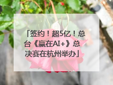 签约！超5亿！总台《赢在AI+》总决赛在杭州举办