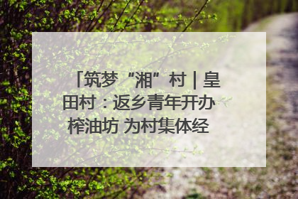 筑梦“湘”村｜皇田村：返乡青年开办榨油坊 为村集体经济“加油”