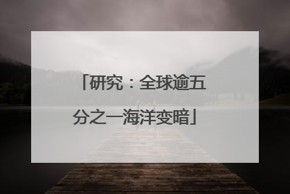 研究：全球逾五分之一海洋变暗