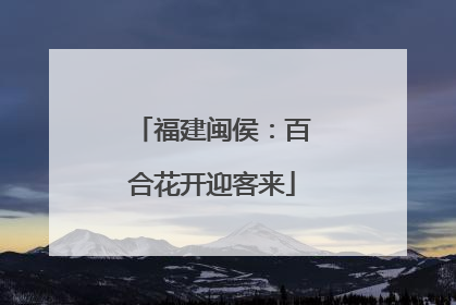 福建闽侯：百合花开迎客来