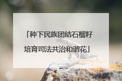种下民族团结石榴籽 培育司法共治和谐花