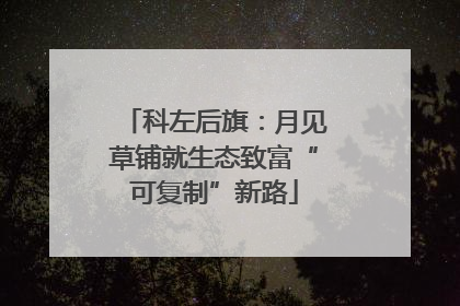 科左后旗：月见草铺就生态致富“可复制”新路