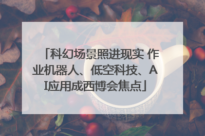 科幻场景照进现实 作业机器人、低空科技、AI应用成西博会焦点