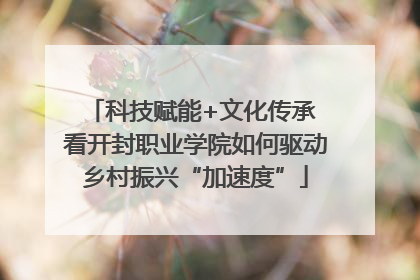 科技赋能+文化传承 看开封职业学院如何驱动乡村振兴“加速度”