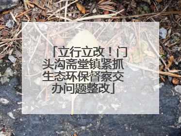 立行立改！门头沟斋堂镇紧抓生态环保督察交办问题整改