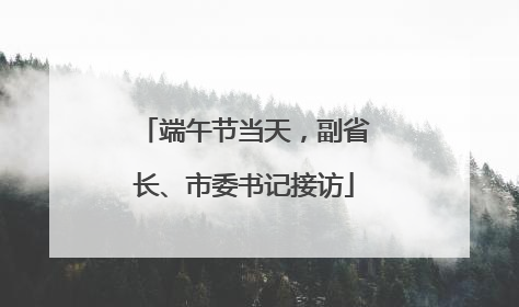 端午节当天，副省长、市委书记接访