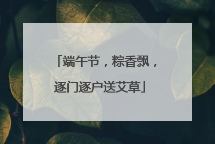 端午节，粽香飘，逐门逐户送艾草