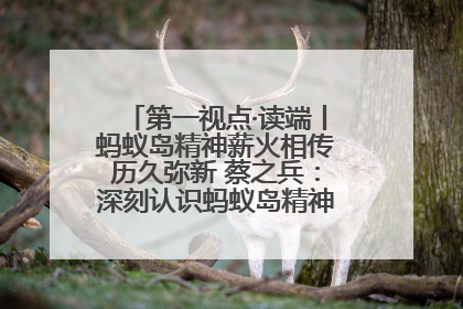 第一视点·读端丨蚂蚁岛精神薪火相传历久弥新 蔡之兵：深刻认识蚂蚁岛精神的“精气神”