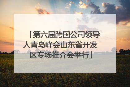 第六届跨国公司领导人青岛峰会山东省开发区专场推介会举行
