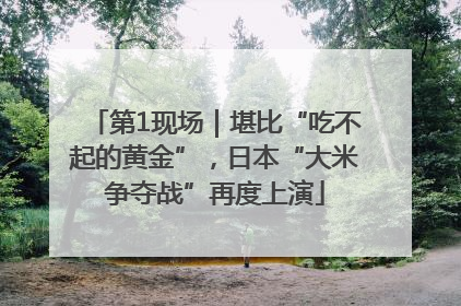 第1现场｜堪比“吃不起的黄金”，日本“大米争夺战”再度上演