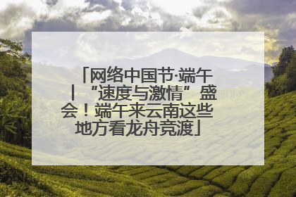 网络中国节·端午丨“速度与激情”盛会！端午来云南这些地方看龙舟竞渡